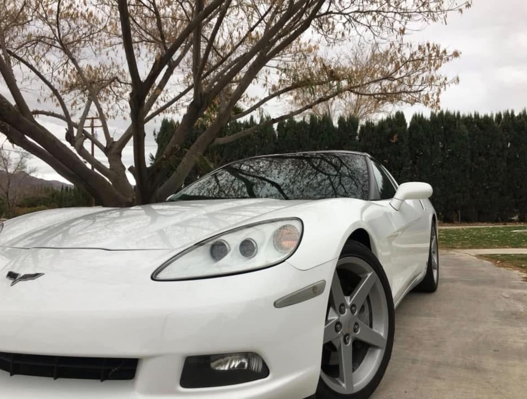 White Chevrolet Corvette with a deep gloss finish after detailing